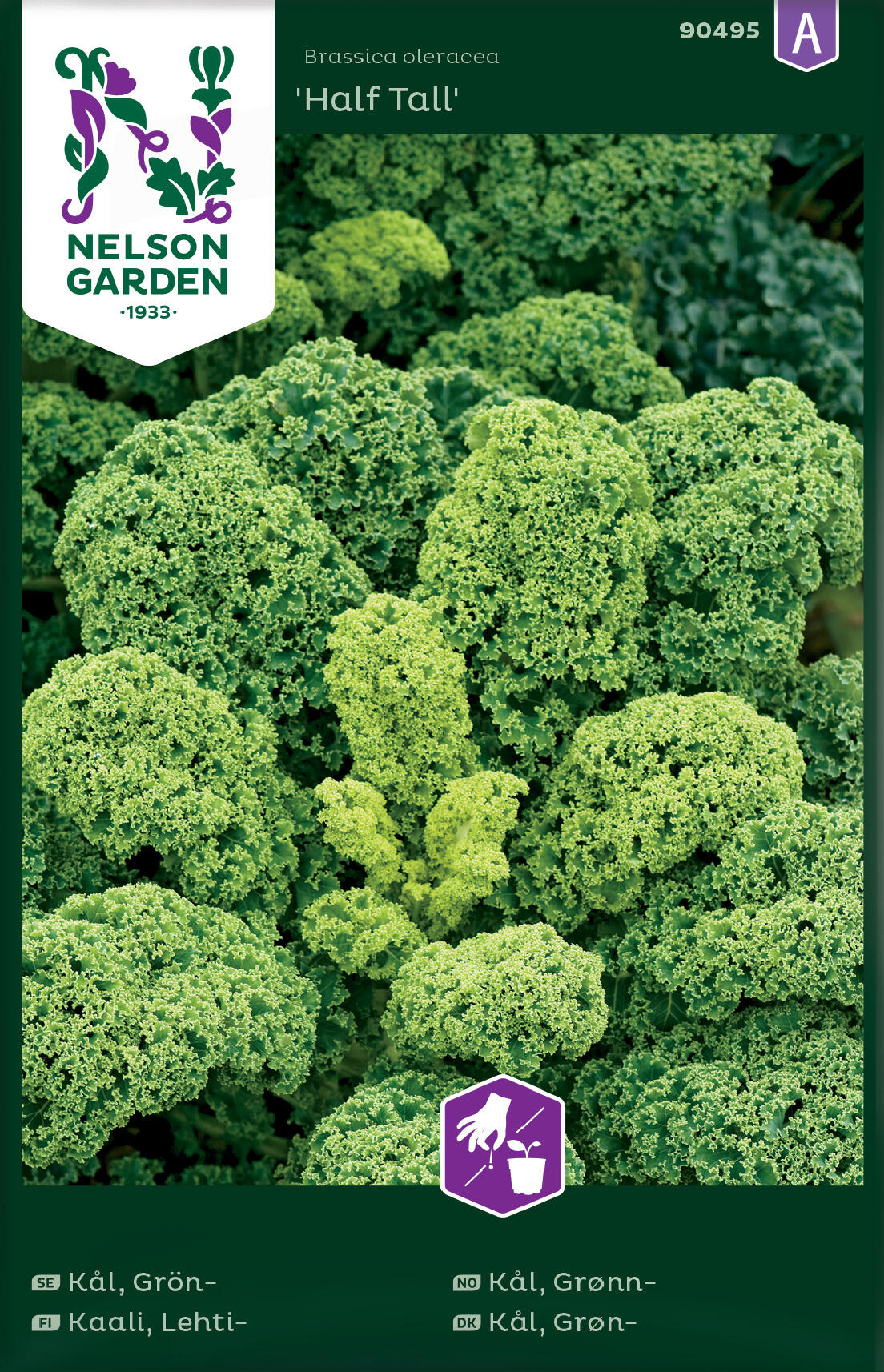 Grønnkål 'Half Tall'